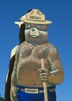 Smokey the Bear