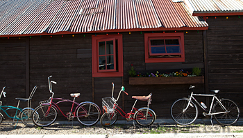 Dogwood Cabin