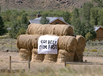 Local Cattle Ranch cheering on the race